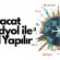 E-İhracat Trendyol ile Nasıl Yapılır? 2026 Güncel Rehber
